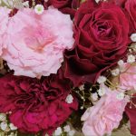 新しい年が始まりました