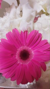 毎日の投稿を支えているのは...