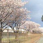 【はごろもショーツ椛】初心者でも作れますか?
