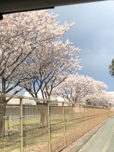 【はごろもショーツ椛】初心者でも作れますか？