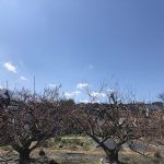 あの日を忘れない。そして「こんな時こそ」の今。