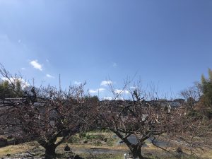 あの日を忘れない。そして｢こんな時こそ」の今。