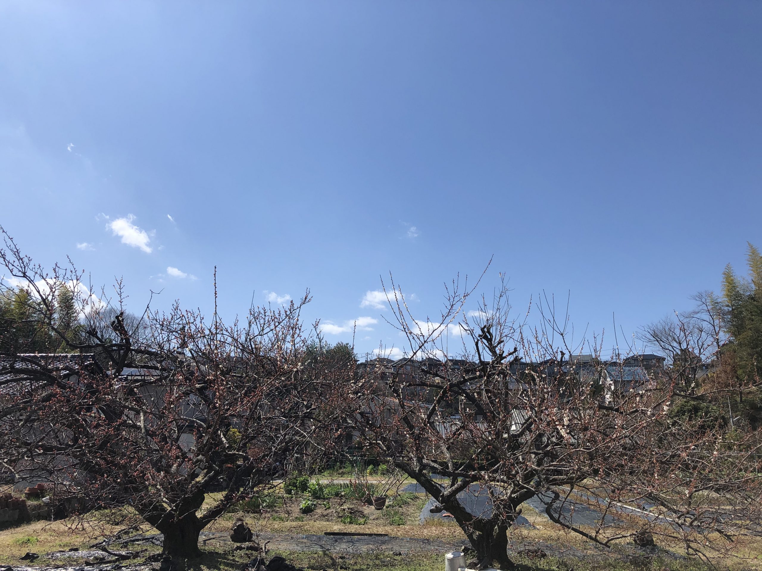 あの日を忘れない。そして「こんな時こそ」の今。