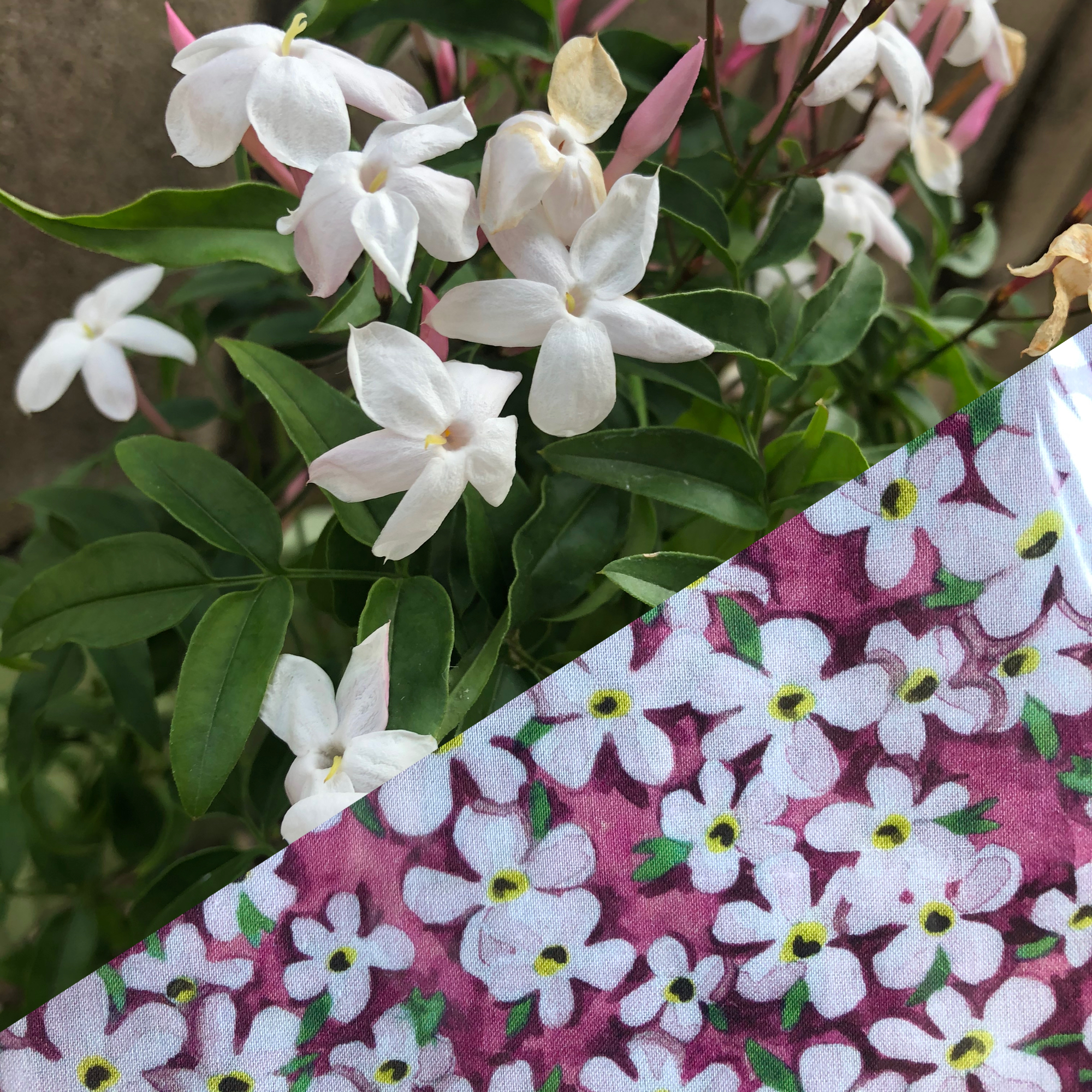 作り方の説明をする時/どんな生地が好きですか?