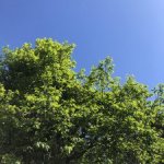 商品を【買いたいけど買えない】そんな時は