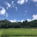 癒しの時間と、お気に入りの下着