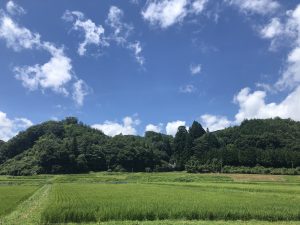 癒しの時間と、お気に入りの下着