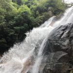 型紙についているレシピに書ききれないこと