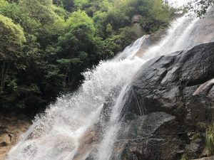 型紙についているレシピに書ききれないこと