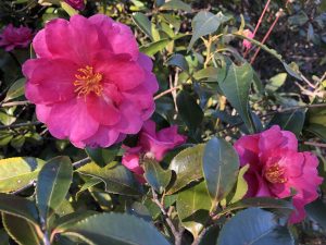 ブログを始めて1年半経ちました。過去ブログも見てね(^_-)