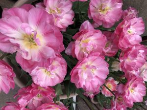 【業務連絡】A･Ｙ様→解決済♡ありがとうございました。