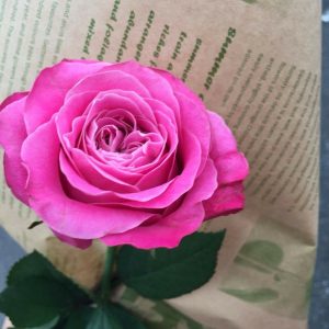 一個前の投稿の件、なんと！公式LINEで連絡つきました～！お客様の機転に感謝！