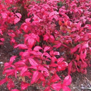 スキルチェックをするきっかけにもなったとある困り事