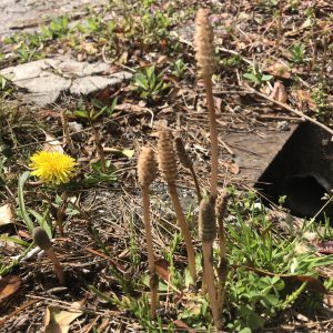 今日は、お休みをいただきました。と、メルカリのこと