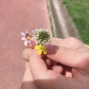 私の住む街は自然豊かなところです