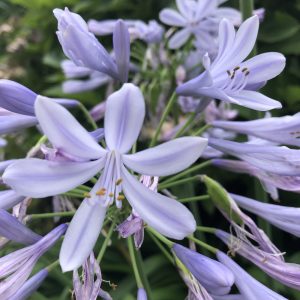 皆さまの地域は雨、大丈夫ですか？