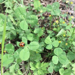 健やかに過ごすために「〇〇ない」習慣を。