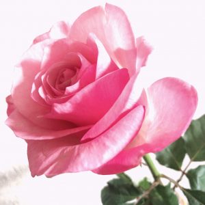 【大切な第一歩】おめでとう＆ありがとう♡