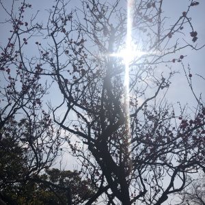 自分の価値観にとらわれず、大きく包み込んで理解してくれている家族に感謝