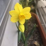 あたたかくなってくると