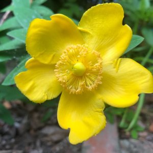 嬉しいコメントをいただきました(^^♪