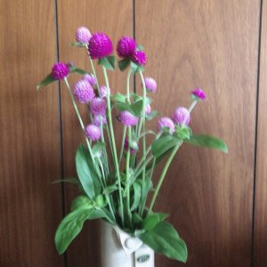 「身体の声をきこう」と言うけれど…