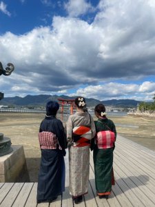 最近の、着物のこと