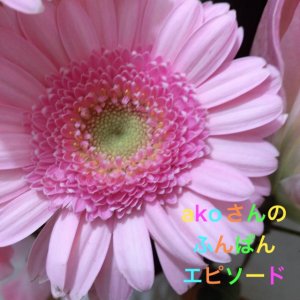 和の会akoさんのお嬢様のふんぱん物語