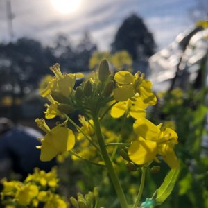 最近繰り返し来るキーワード「アタリマエ」をうたがう