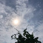 Yさまのstory~呼び覚ませ私たちの感覚