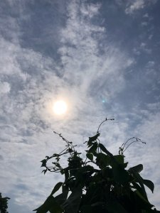 また新たなショッピングサイト？！