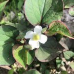 商品の良さを伝える前に