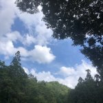 ひとことメッセージ