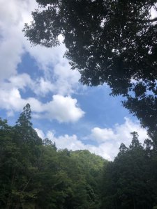 ひとことメッセージ