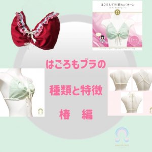 【はごろもブラの種類と特徴】椿（旧haruブラ）編