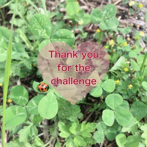 お裁縫にチャレンジ☆一歩踏み出す勇気