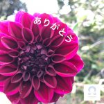 勇気を出して「気がかりなこと」を伝えてみたら