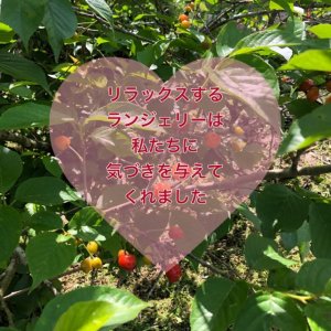 繋がる、繋げる、感謝